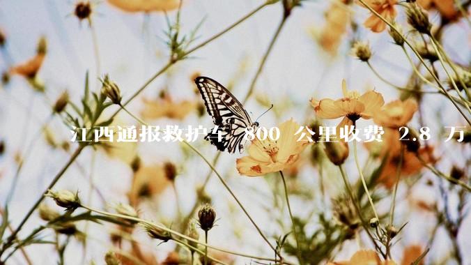 江西通报救护车 800 公里收费 2.8 万「不合理，暂停医院转运服务」，该医院要承担怎样的法律责任？